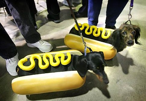 hotdogpups.jpg
